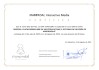 Moodle gestión aprendizaje